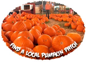 Find a local Pumpkin Patch